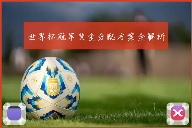 世界杯冠军奖金分配方案全解析